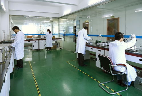 本地服務全國連，黑河五大連池檢測到位更省心——“機構篩選避坑實訓專題之服務距離紅利工具包校準說明書×版情報分析現場解讀
